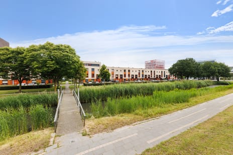 undefined main image