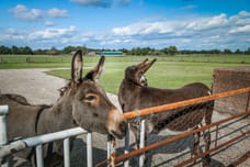 Afbeelding van Rengersweg 27 - Derde foto