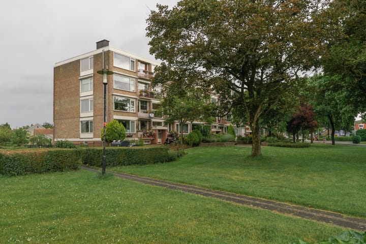 Stadswal 24-B main image