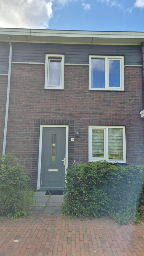 undefined main image