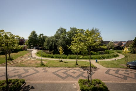 Goudwinde 12 secondary image