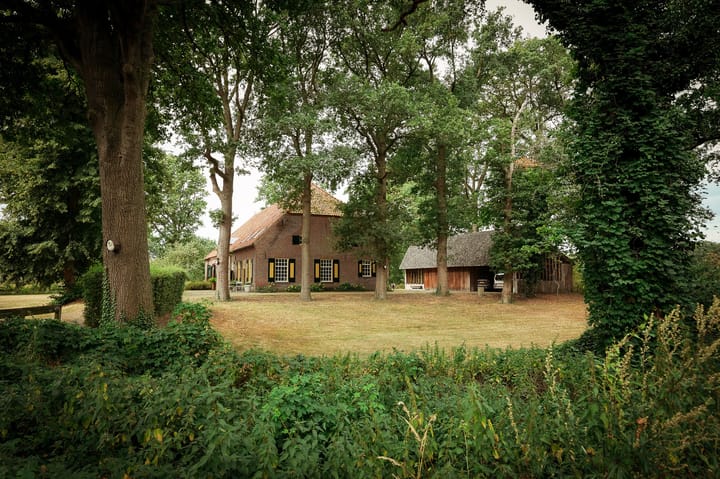 Wamberg 5 main image