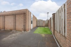 Afbeelding van Struikheide 17 - Derde foto