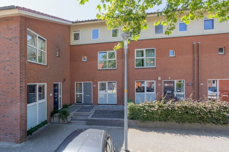 undefined main image