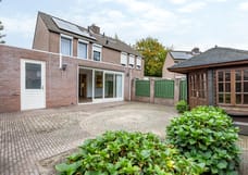 Afbeelding van Boterbloem 48 - Derde foto
