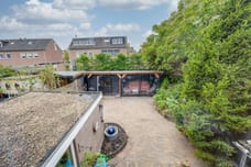 Afbeelding van Waterhoen 10 - Derde foto