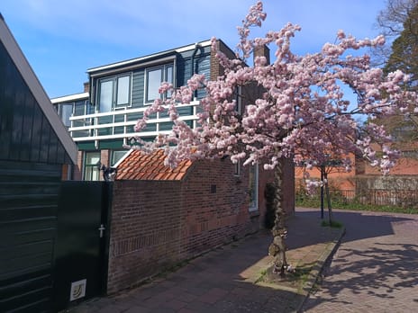 Pieter Florisstraat 15 tertiary image