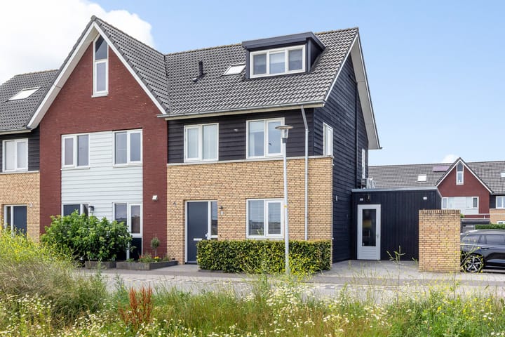 Honingzwam 79 main image