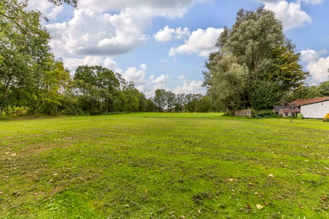 Afbeelding van Boskwei 2 - Derde foto