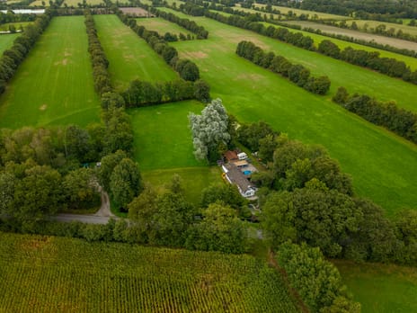Afbeelding van Boskwei 2 - Tweede foto