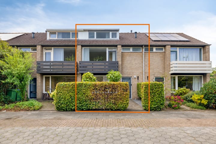 Bergschot 408 main image