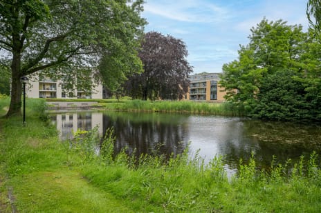 Professor Boerhaaveweg 33 secondary image