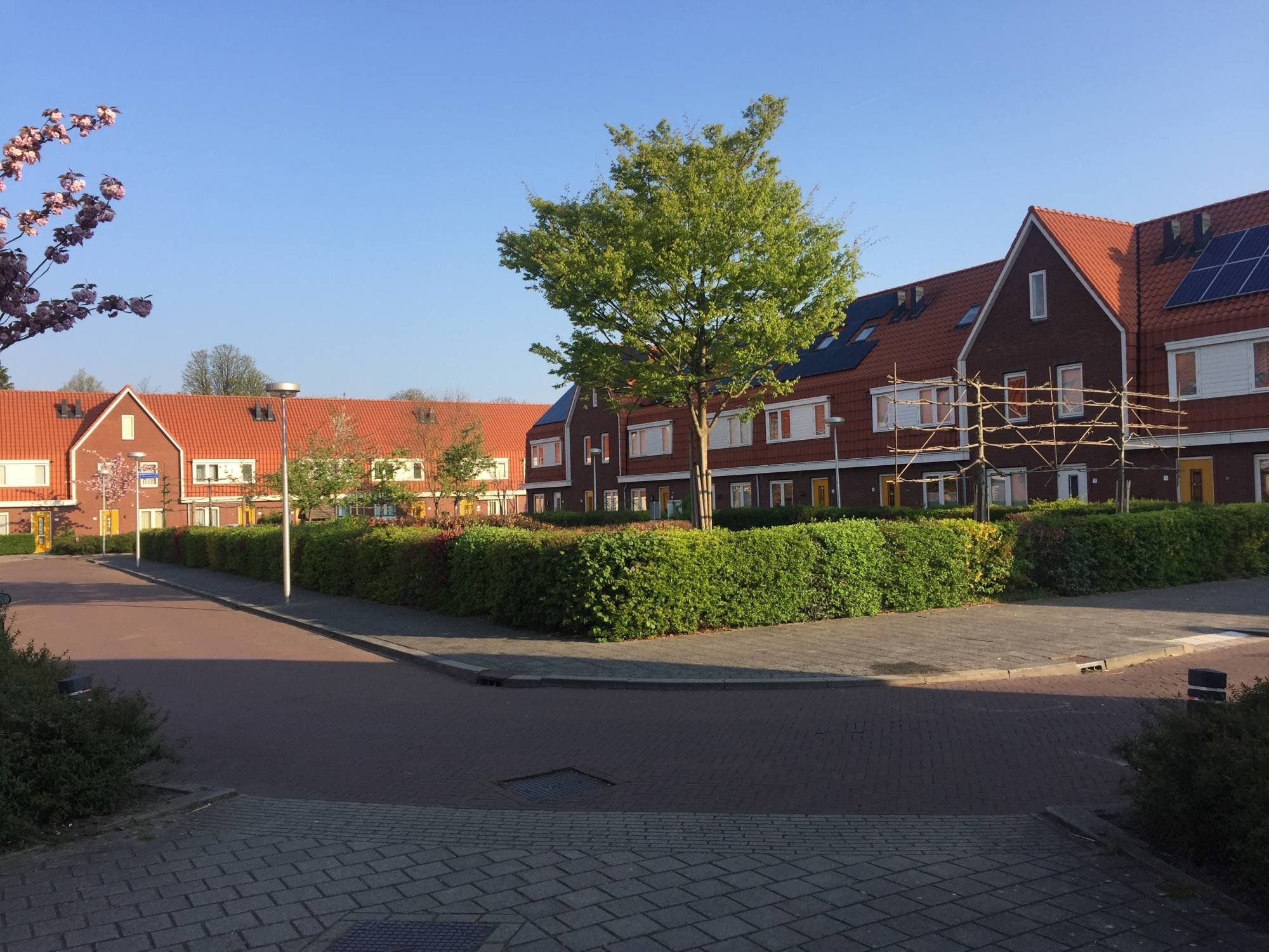 Woning te huur