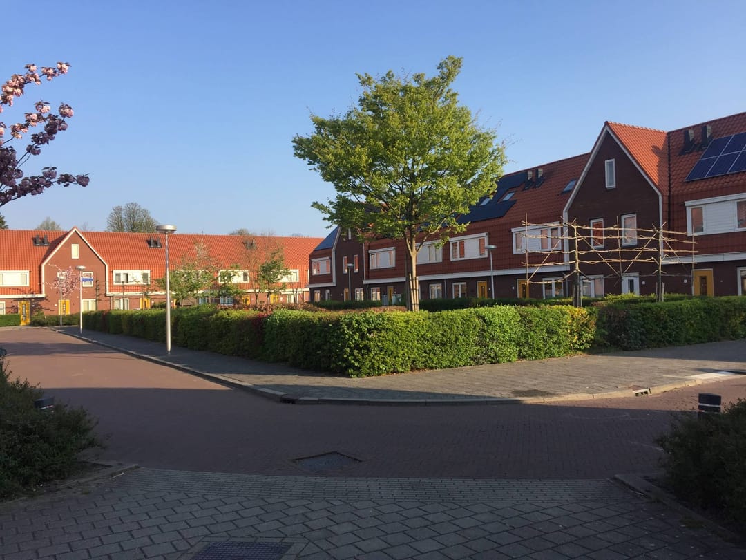 recent house