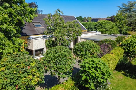 Haneweg 29 tertiary image