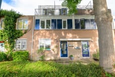 Afbeelding van Hemelsblauw 49 - Tweede foto