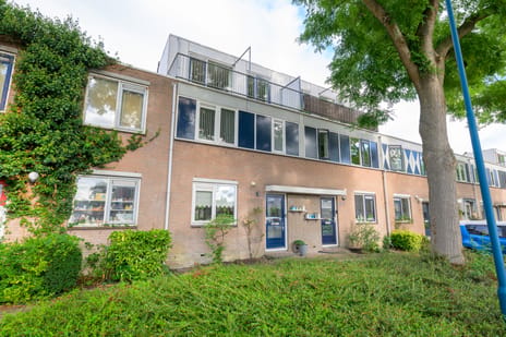 Hemelsblauw 49 main image
