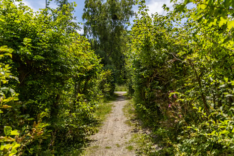Rijspolder 29 secondary image