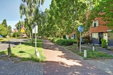 Image of Noorse Lijster 3 - Second image