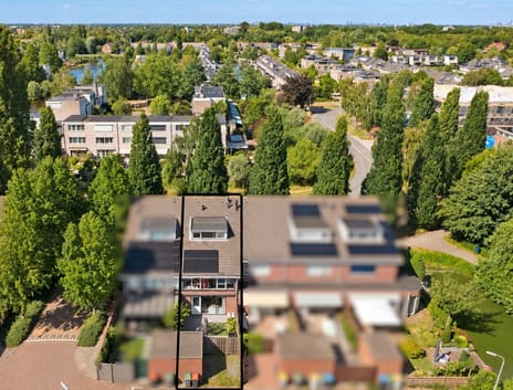 Image of Noorse Lijster 3 - Second image
