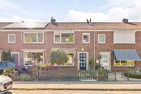 undefined main image