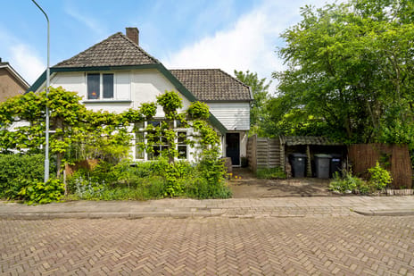 undefined main image