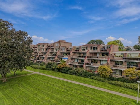 Selde Rust 25-43 main image