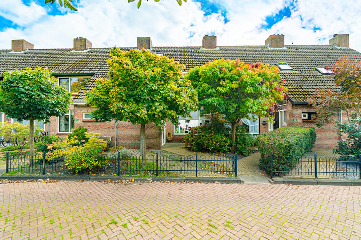 Schouw 21 main image