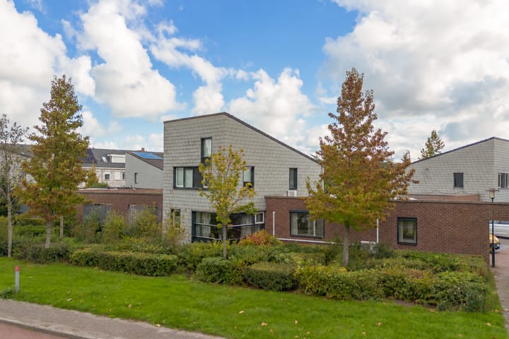 Steenarend 5 main image