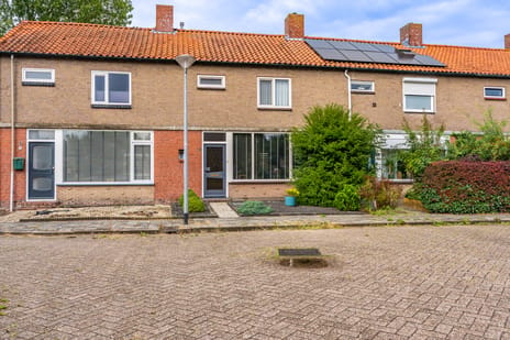 undefined main image