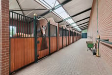 Afbeelding van Hoogveldsestraat 4 - Derde foto
