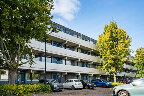 Veenbes 43 main image
