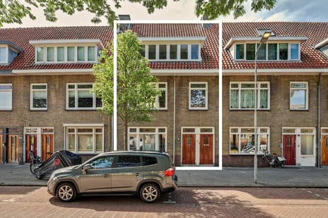 Singel 356 main image