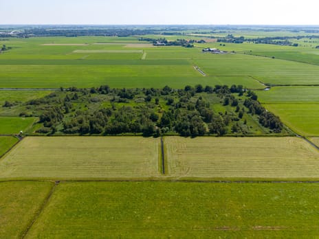 Niekerkerdiep tertiary image
