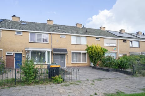 undefined main image