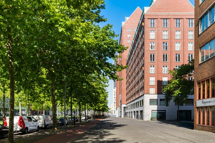 Laan op Zuid 320 main image
