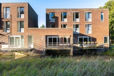 Afbeelding van Lepelaar 2 - Tweede foto