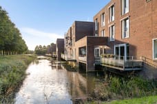 Afbeelding van Lepelaar 2 - Derde foto