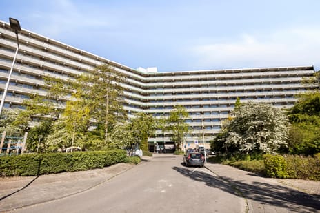 Stadhoudersring 654 secondary image