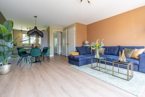 Hooge Braak 55 secondary image