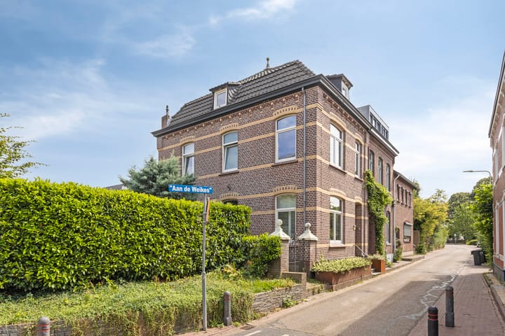 Weidom 4 main image