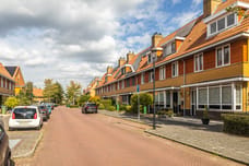 Afbeelding van Waterhoen 17 - Tweede foto