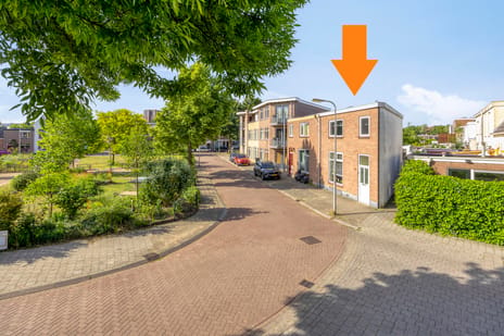undefined main image