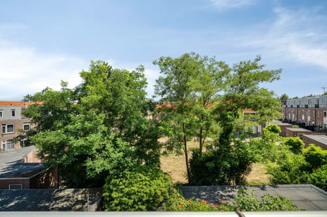 Ringkade 61 secondary image