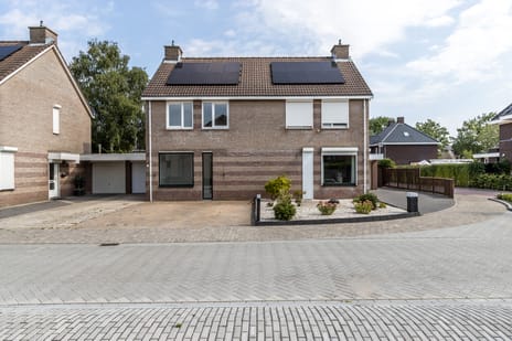 Lavendelheide 4