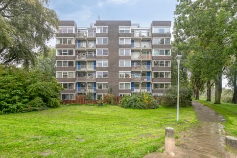 Graan voor Visch 17224 main image