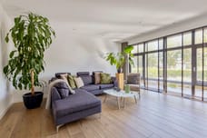 Afbeelding van Boekweit 32 - Derde foto