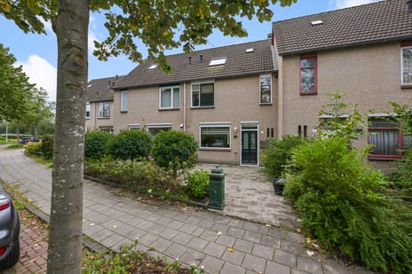 Rode Kruisstraat 3-D main image
