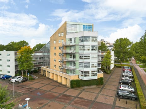 Felix de Nobelhof 38 main image