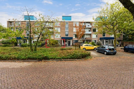 Reitdiepstraat 31